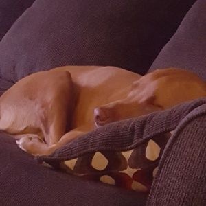 Meet your Posher, Terri